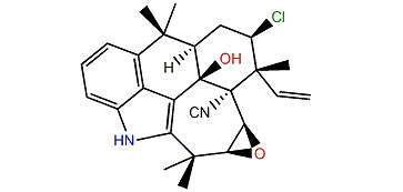 Ambiguine E isonitrile